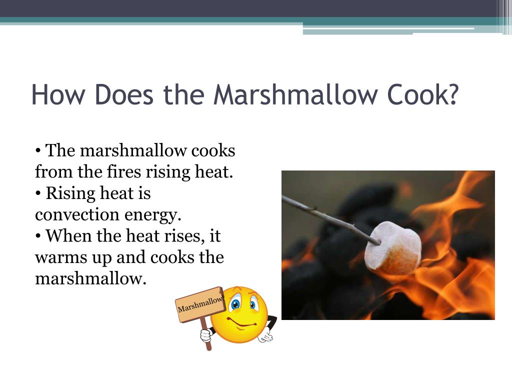 Roasting Marshmallows Heat Transfer