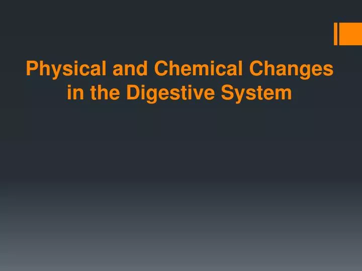 ppt-physical-and-chemical-changes-in-the-digestive-system-powerpoint