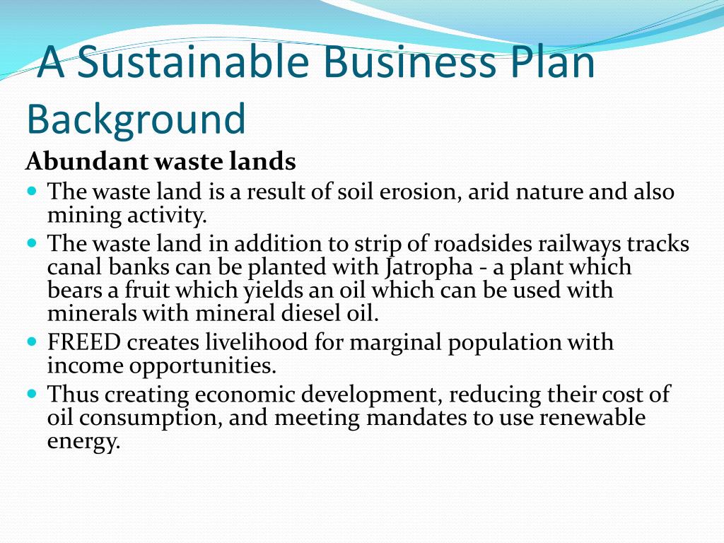 sustainability business plan example