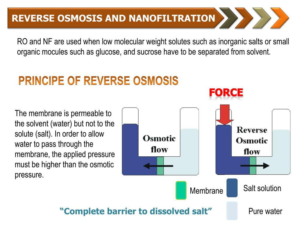 Reverse am. Ultrafiltration–nanofiltration. Membrane processing.