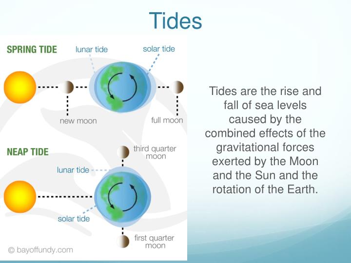 PPT - Tidal & Wave Power PowerPoint Presentation - ID:1589126