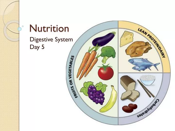 PPT - Nutrition PowerPoint Presentation, free download - ID:1589592