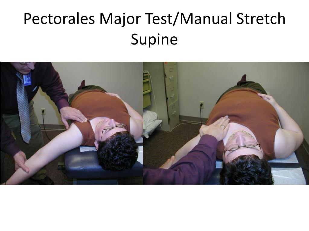 Pec Muscle Testing PPT - Muscle Imbalance Evaluation and Treatment of the Neck, Upper Back ...