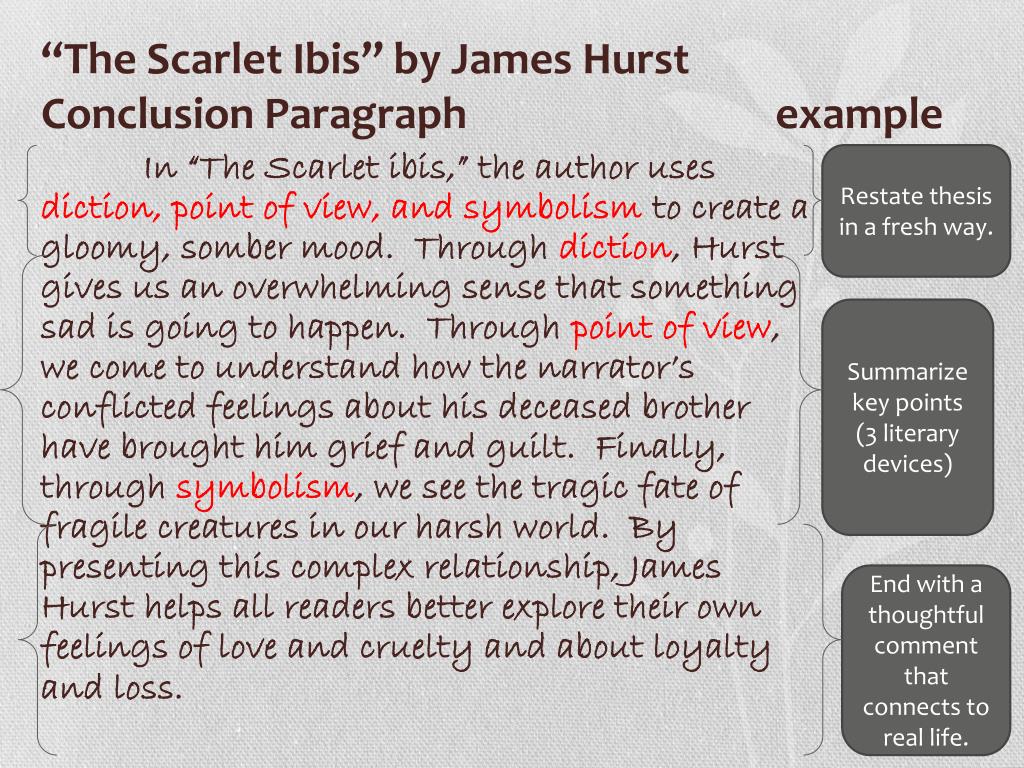 thesis of scarlet ibis