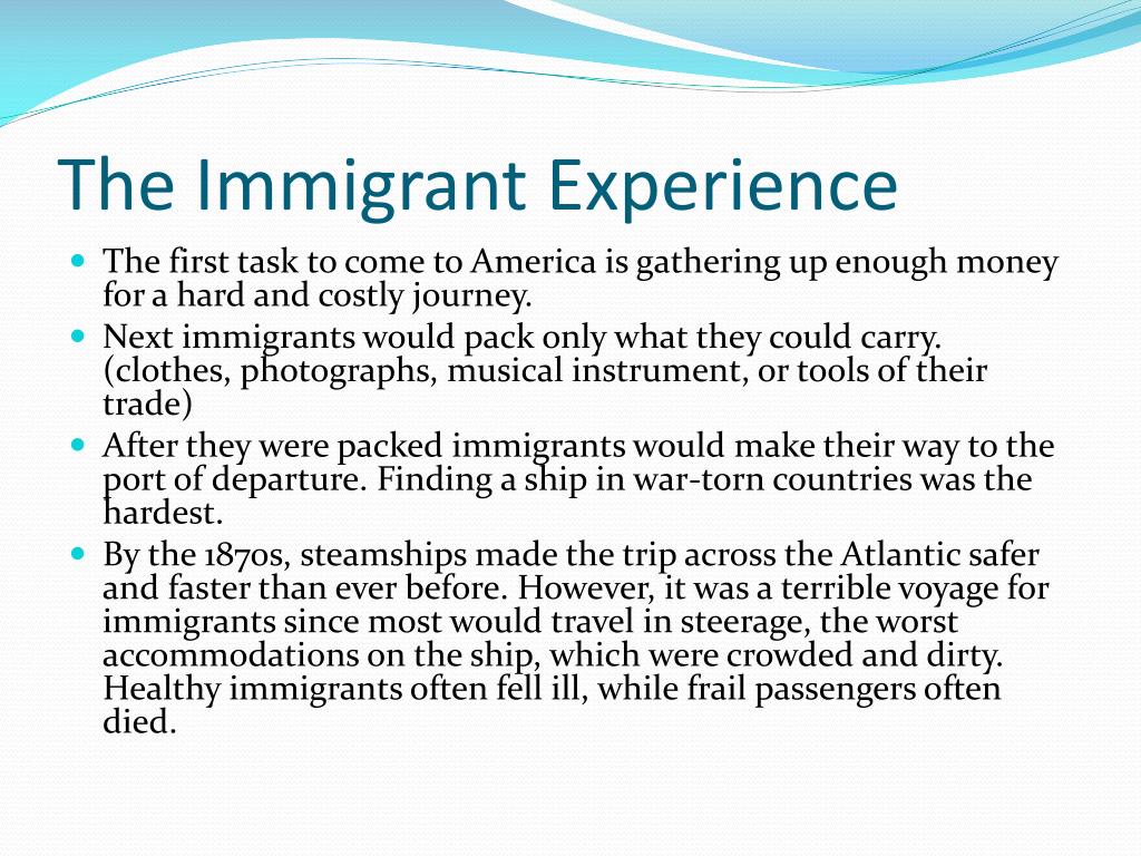 the immigrant experience essay