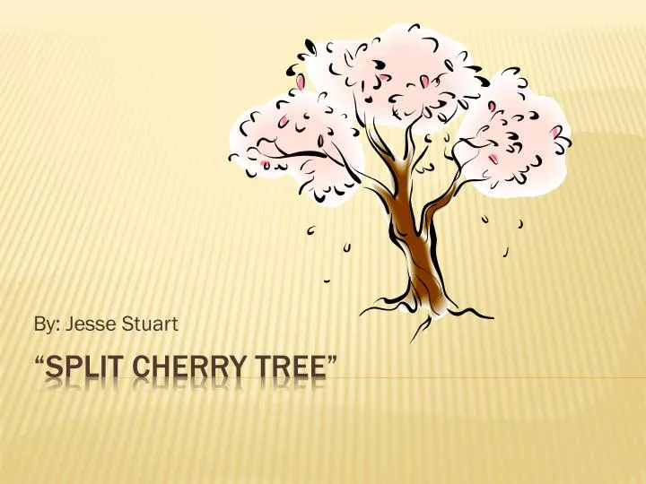 the split cherry tree 5 points answers ppt split cherry tree powerpoint presentation id 1592745 the split cherry tree 5 points answers ppt split cherry tree powerpoint presentation id 1592745