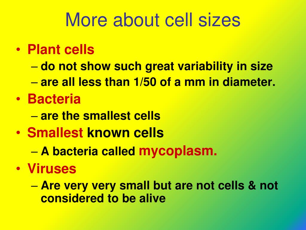 PPT - Chapter 4 CELLS Accelerated Biology PowerPoint Presentation, free