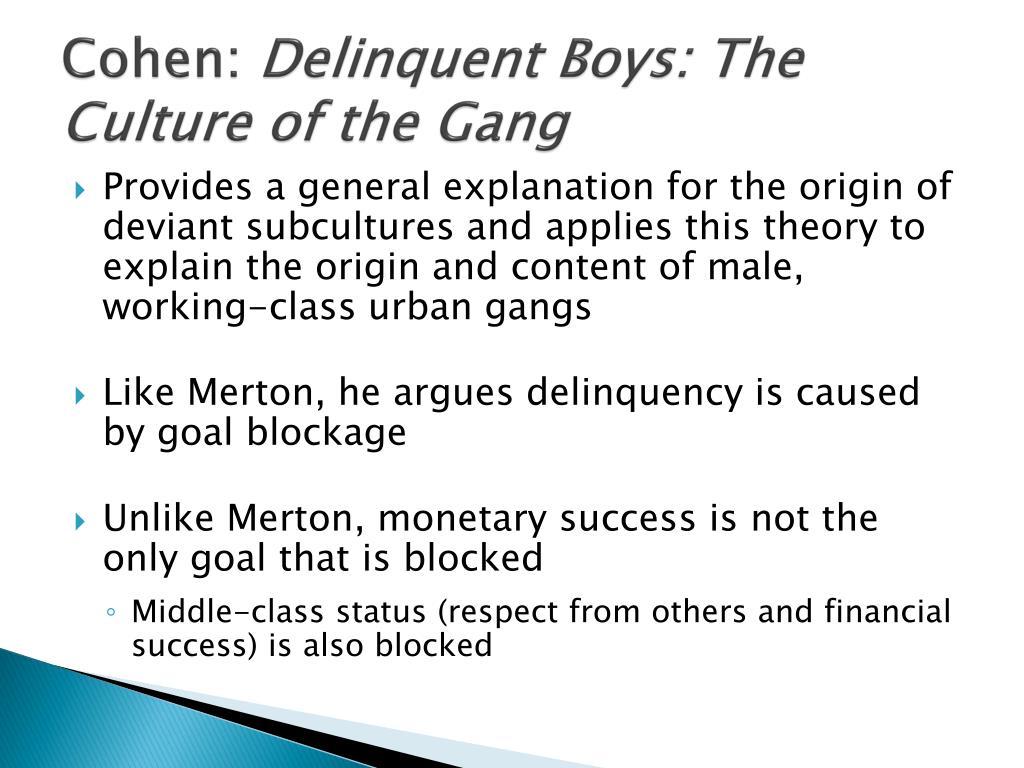 Theoretical Explanations Of Gang Formation