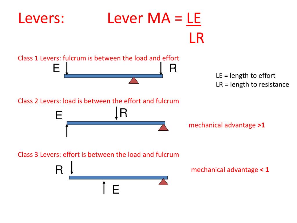 Class 2 Lever Force Calculation At Jason Rocha Blog