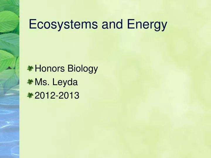 ecosystems and energy n.