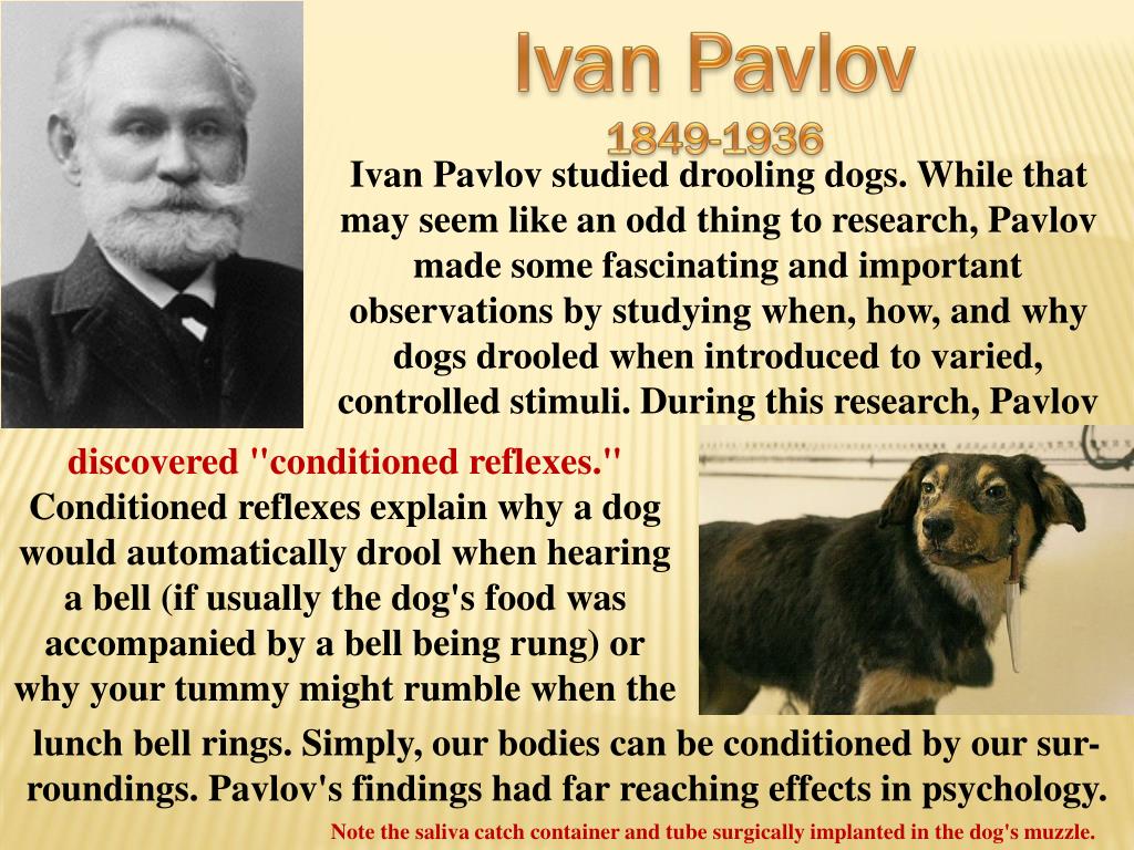 PPT - Ivan Pavlov 1849-1936 PowerPoint Presentation, free download - ID:1596443