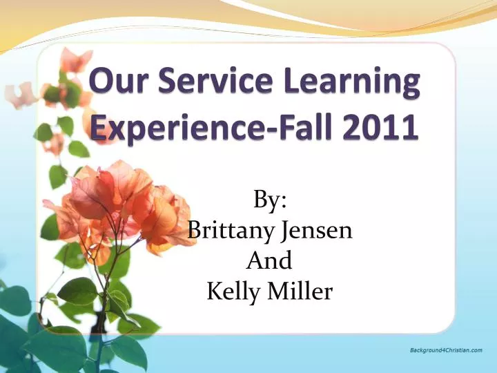 our service learning experience fall 2011 n.