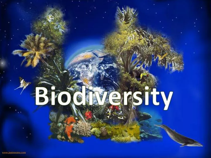 loss-of-biodiversity