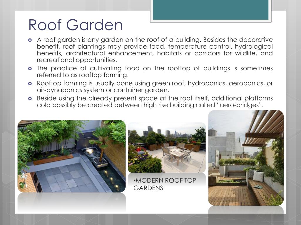 Rooftop Gardening Ppt Fasci Garden