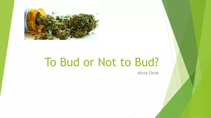 to bud or not to bud n.