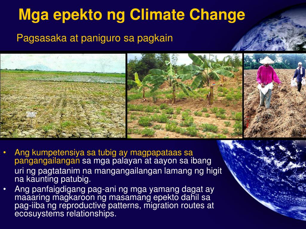 Ano Ang Bunga Ng Climate Change - sanhibunga