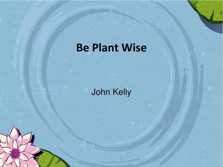 be plant wise n.