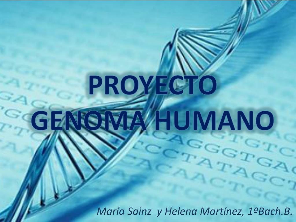 PPT - PROYECTO GENOMA HUMANO PowerPoint Presentation, Free Download ...