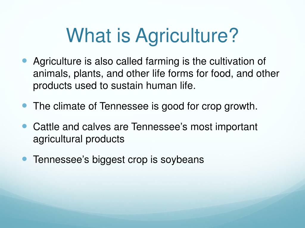 PPT Agriculture PowerPoint Presentation Free Download ID 1601430