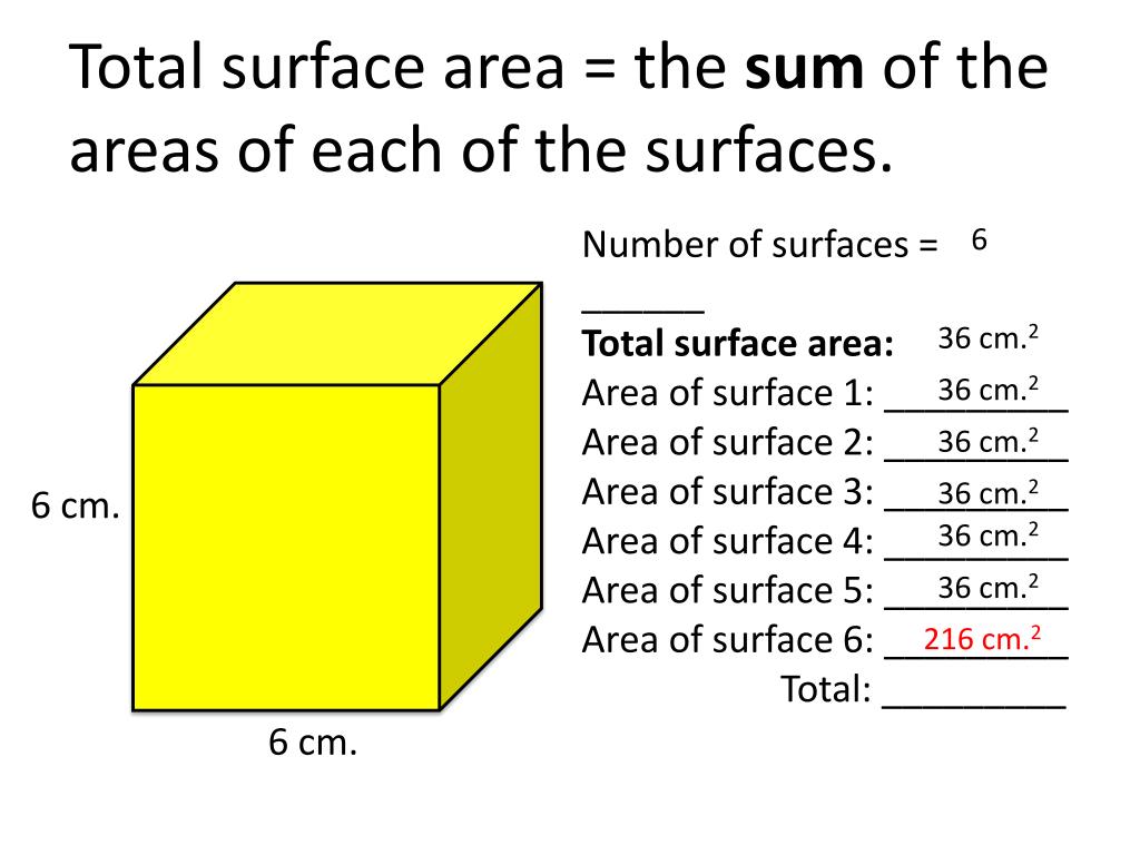 PPT Inquiry What Is Surface Area And How Can I Change The Surface 