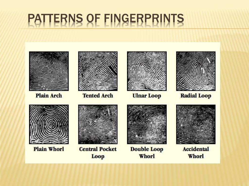 PPT The Evolution of Fingerprinting PowerPoint Presentation, free