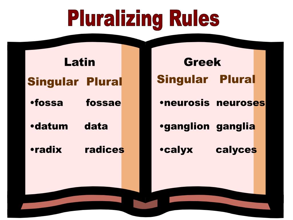 PPT Learning Terminology PowerPoint Presentation Free Download ID 