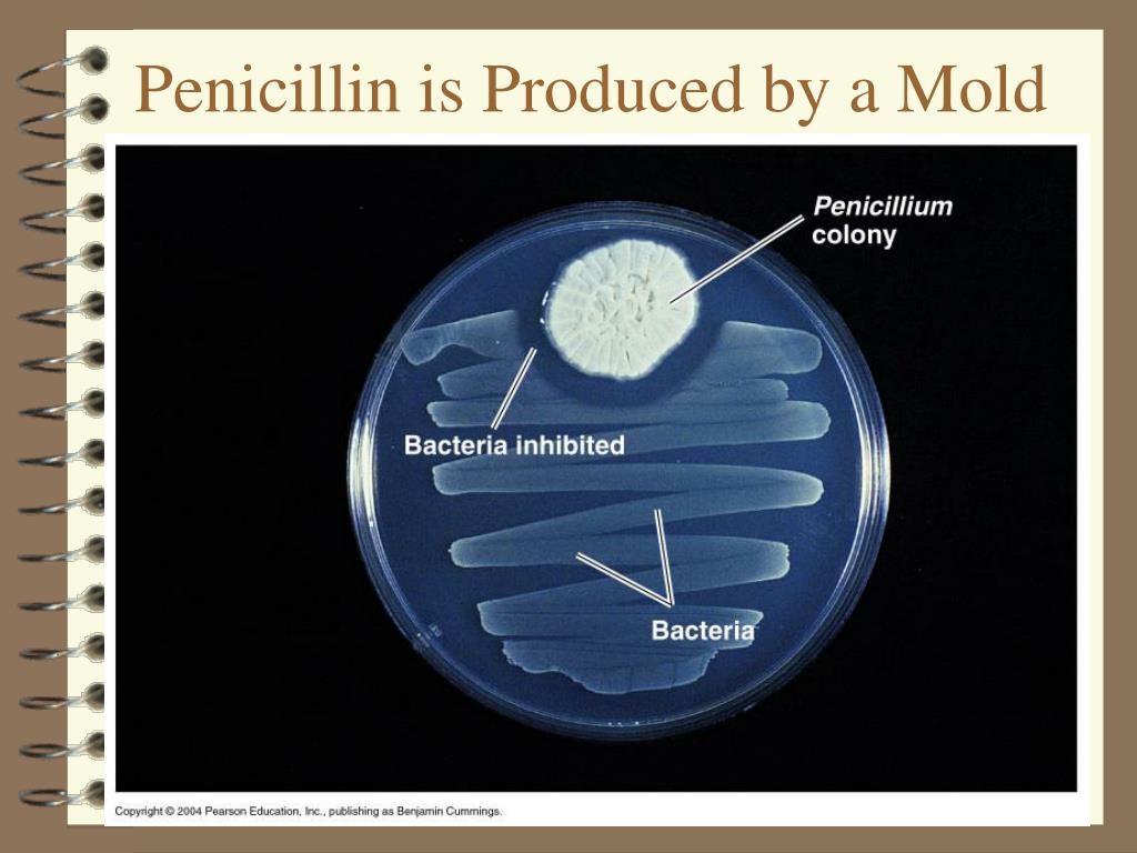 Пенициллин тест
