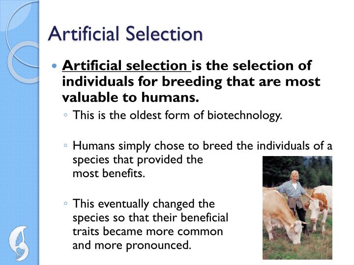 artificial selection Artificial selection (or selective breeding) differs from natural selection in that heritable variations in a species are manipulated by humans through controlled. artificial selection Artificial selection (or selective breeding) differs from natural selection in that heritable variations in a species are manipulated by humans through controlled.