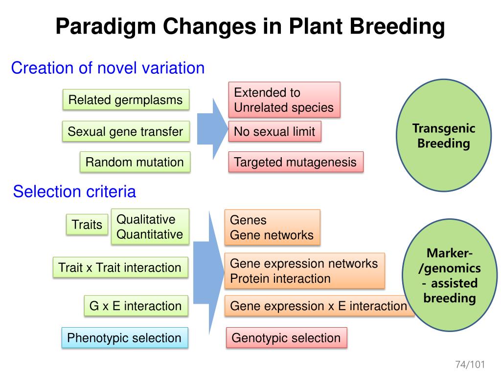 Mass selection in Plant breeding ppt. Selection methods in Plant breeding ppt. The World Plant breeding phynological observations legumesseeds. The World GENBANK Plant breeding phynological observations legumesseeds. Plant breeding