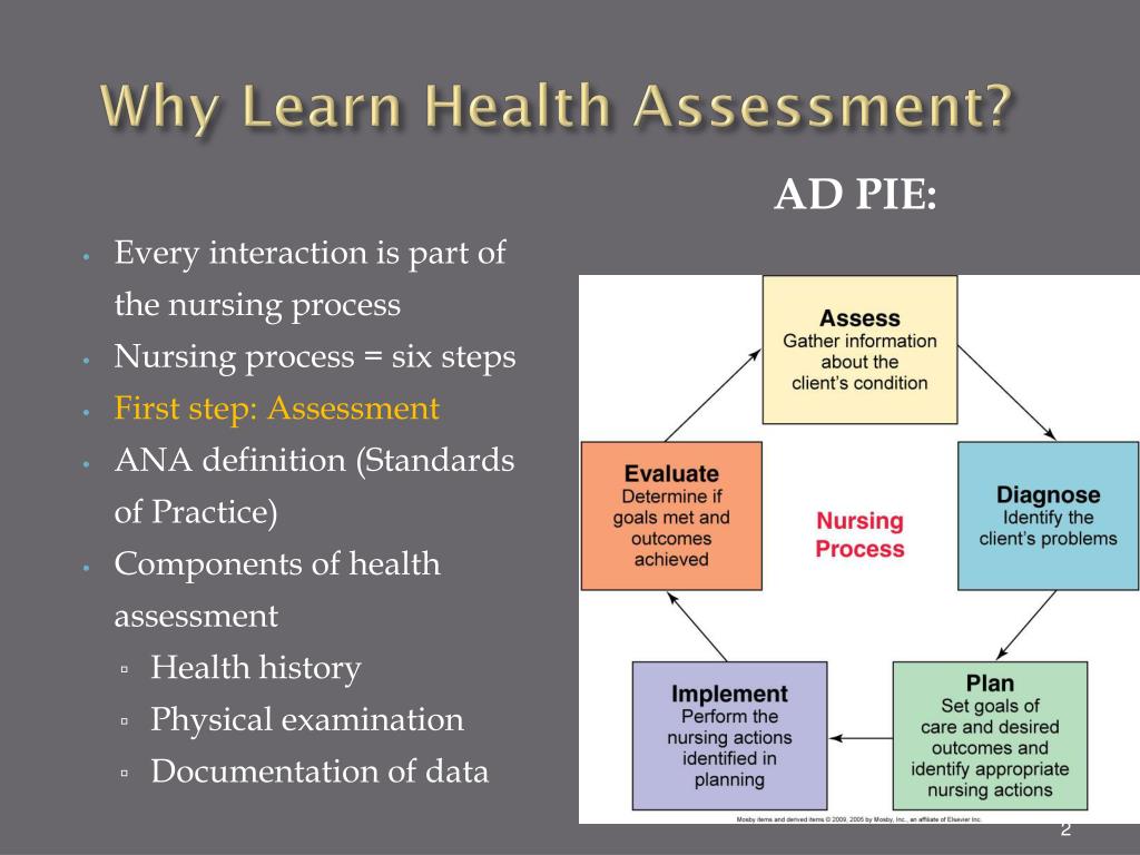 PPT - NRS 103: Nursing Assessment and Health History PowerPoint ...