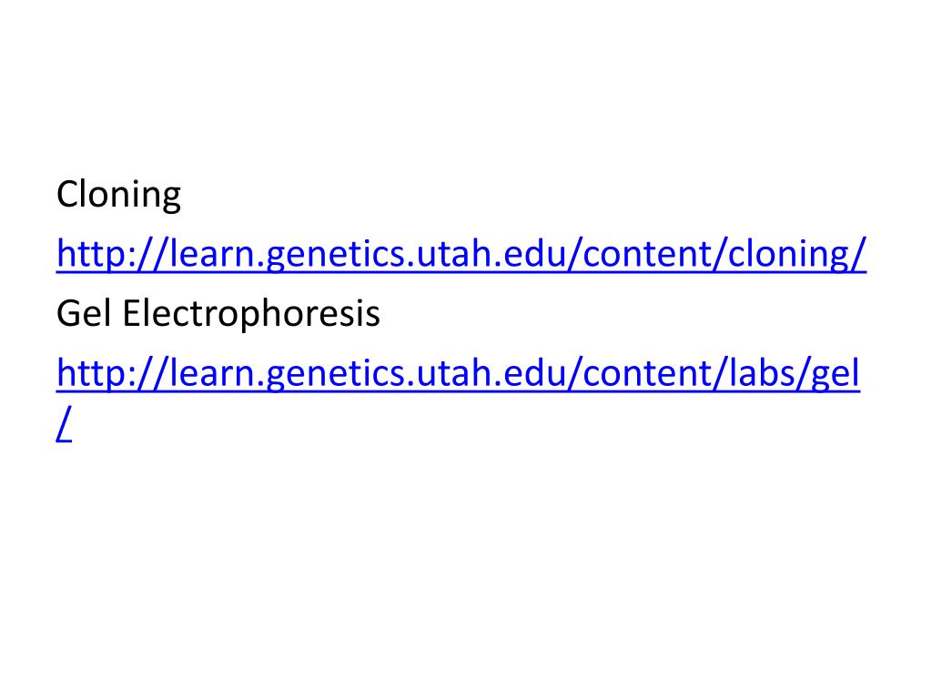 PPT Links for Biotechnology Webquest PowerPoint Presentation, free