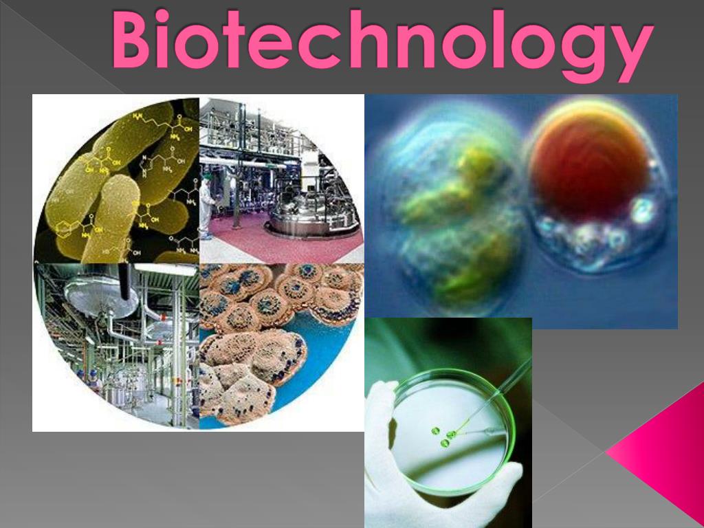 presentation topics for biotechnology