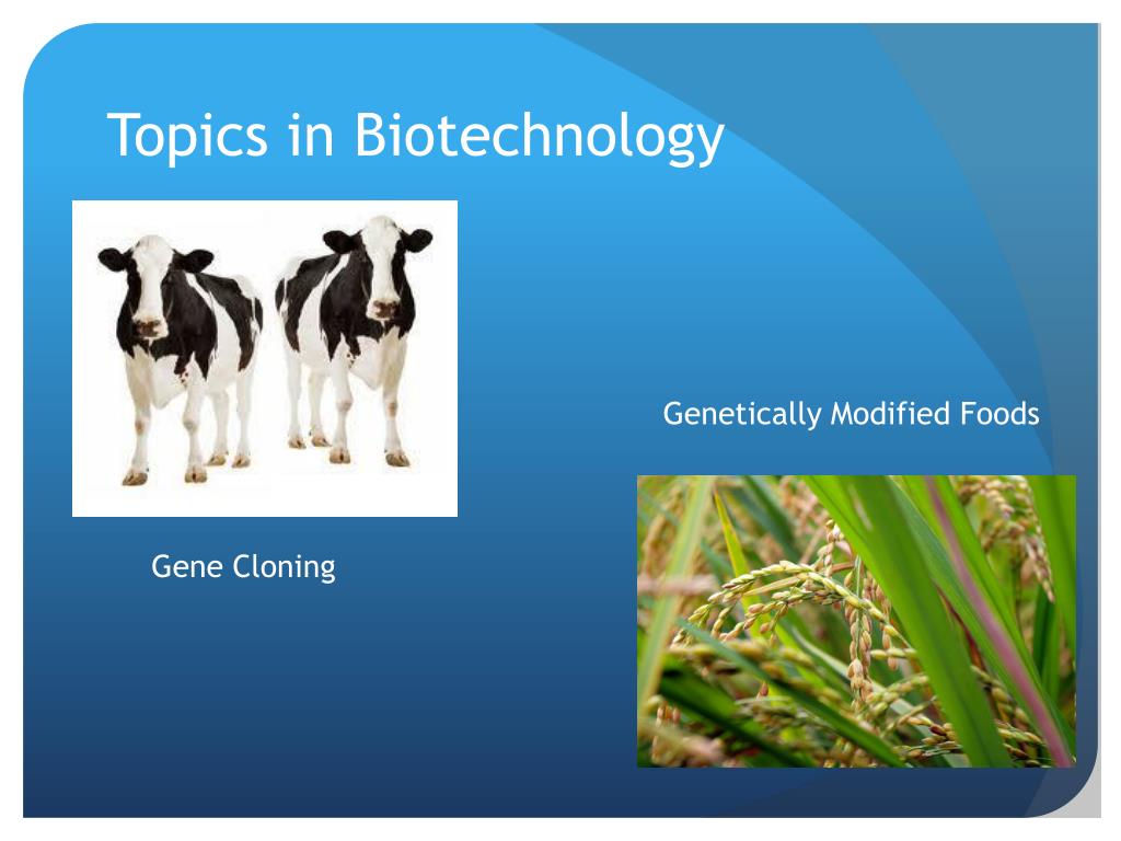 research project topics in environmental biotechnology