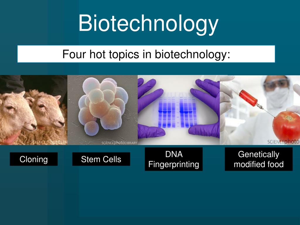 medical biotechnology topics for presentation