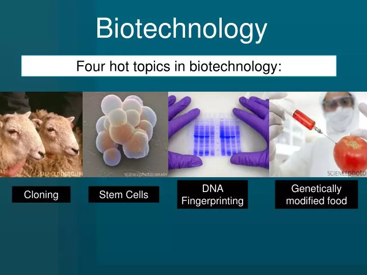 biotechnology cloning Biotechnology is the use of any technique involving living organisms to manufacture or change products, to improve the desired characteristics of a plant or animal, or to alter microorganisms for a purpose. biotechnology cloning Biotechnology is the use of any technique involving living organisms to manufacture or change products, to improve the desired characteristics of a plant or animal, or to alter microorganisms for a purpose.