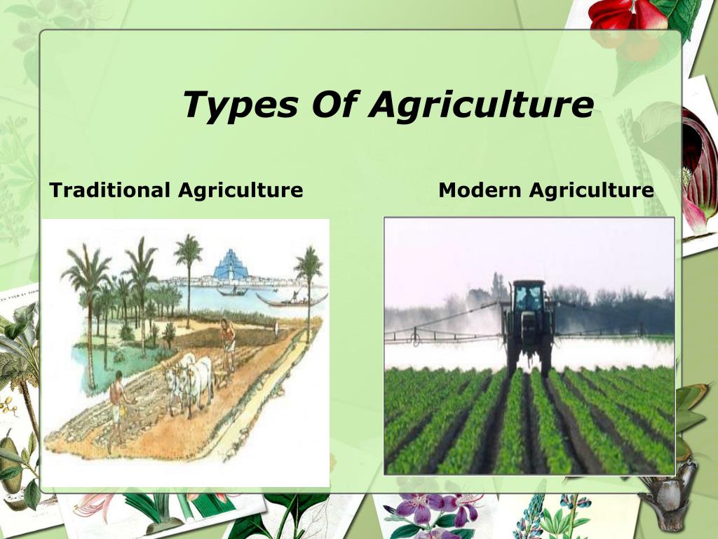 what is presentation agriculture
