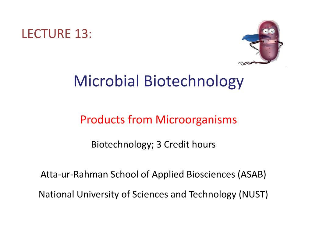 PPT Microbial Biotechnology Products from PowerPoint