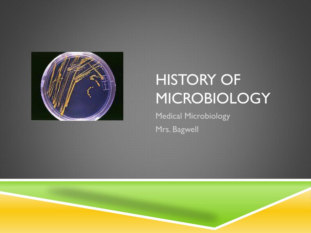 PPT - History of Microbiology PowerPoint Presentation, free download -  ID:1604764