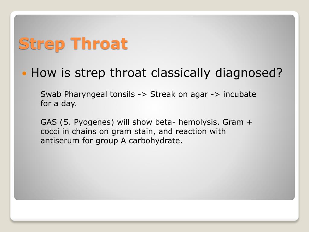 PPT Microbiology Lab Exam PowerPoint Presentation, free download ID PPT Microbiology Lab Exam PowerPoint Presentation, free download ID