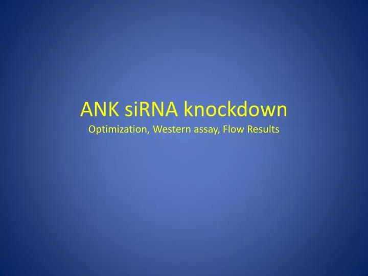 ank sirna knockdown optimization western assay flow results n.