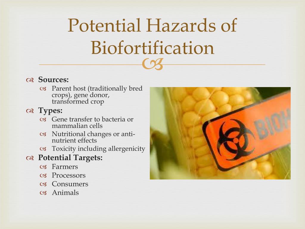 Ppt Safety And Regulation Of Gmo Foods Powerpoint Presentation Free Download Id1605319 2080