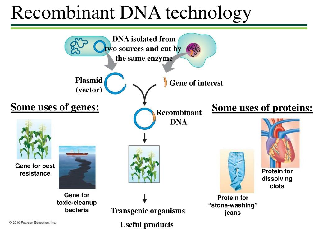 recombinant dna technology presentation topics