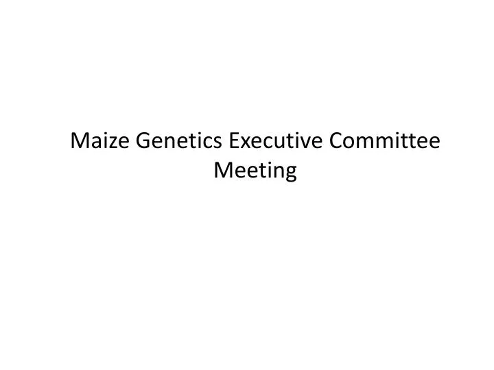 PPT Maize Executive Committee Meeting PowerPoint