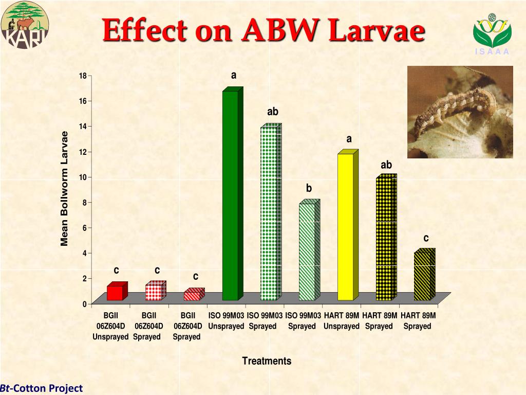 PPT - Benefits and Progress Towards Commercialization of Bt Cotton in ...
