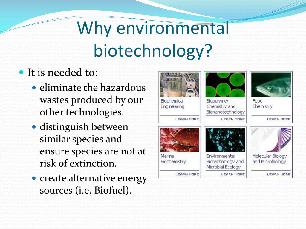 phd in environmental biotechnology