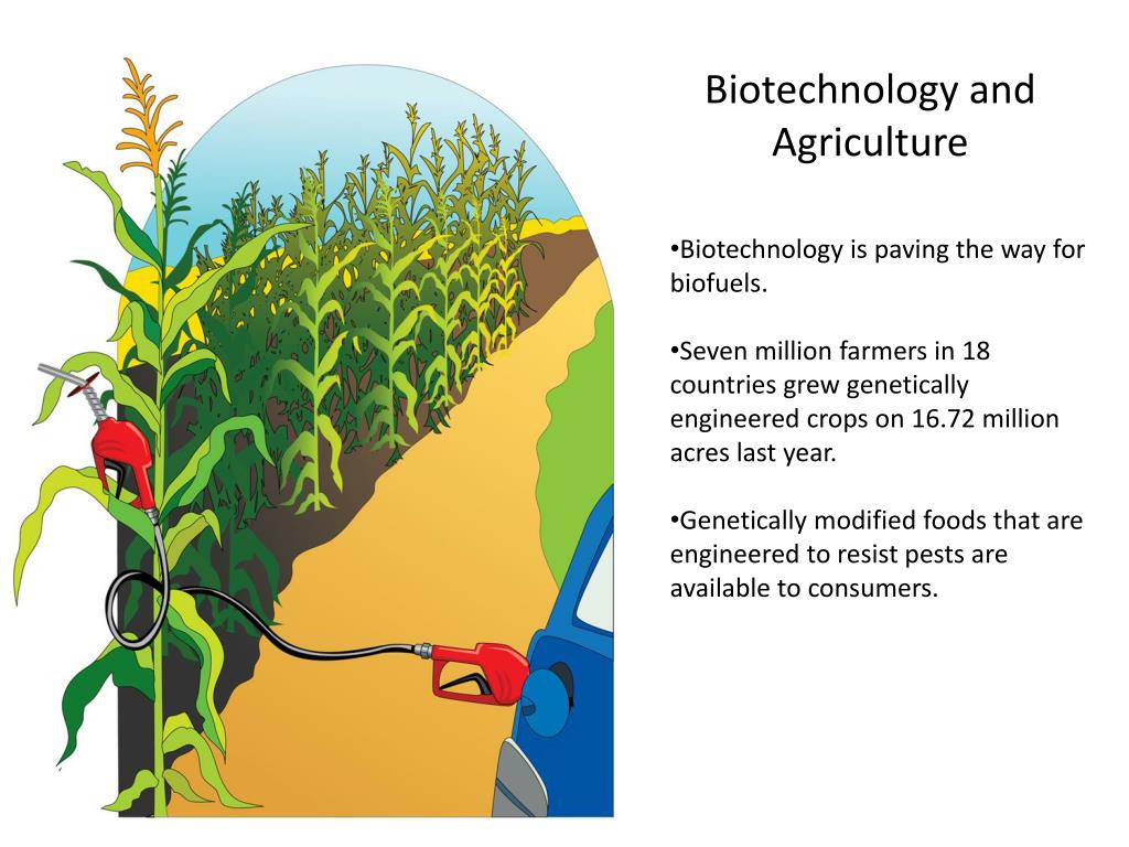 How is agriculture used in biotechnology ️ Updated 2022