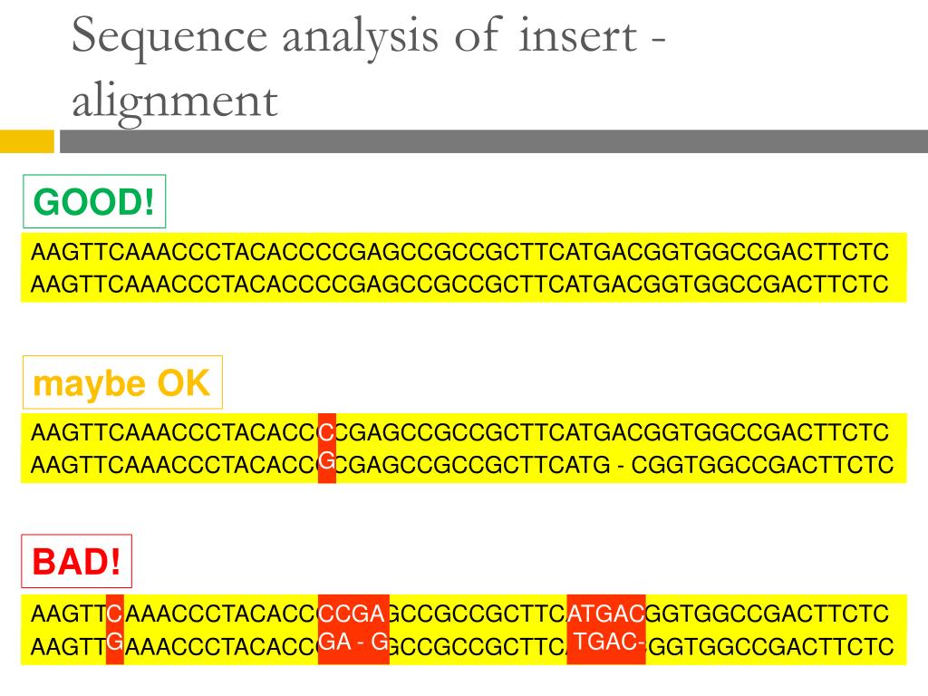 PPT - In Vivo assay for RNA-protein interactions PowerPoint ...