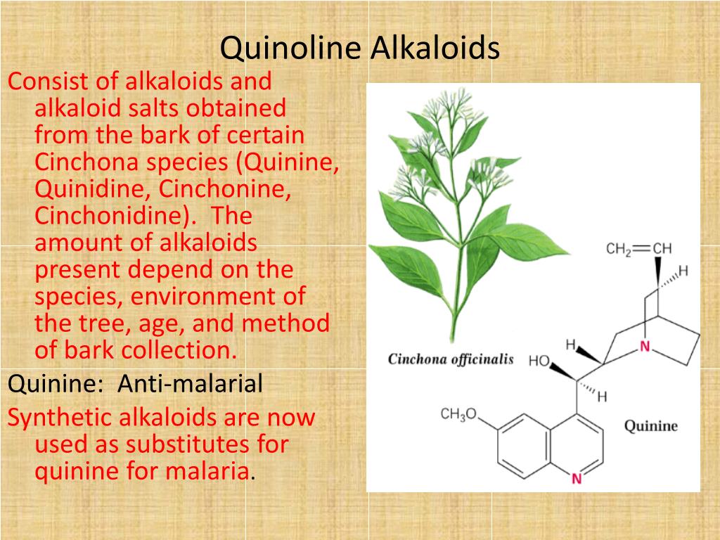 Алкалоид в чайных листьях. Алкалоид хинин. Алкалоиды это. Алкалоиды хинолина. Алкалоиды винки.
