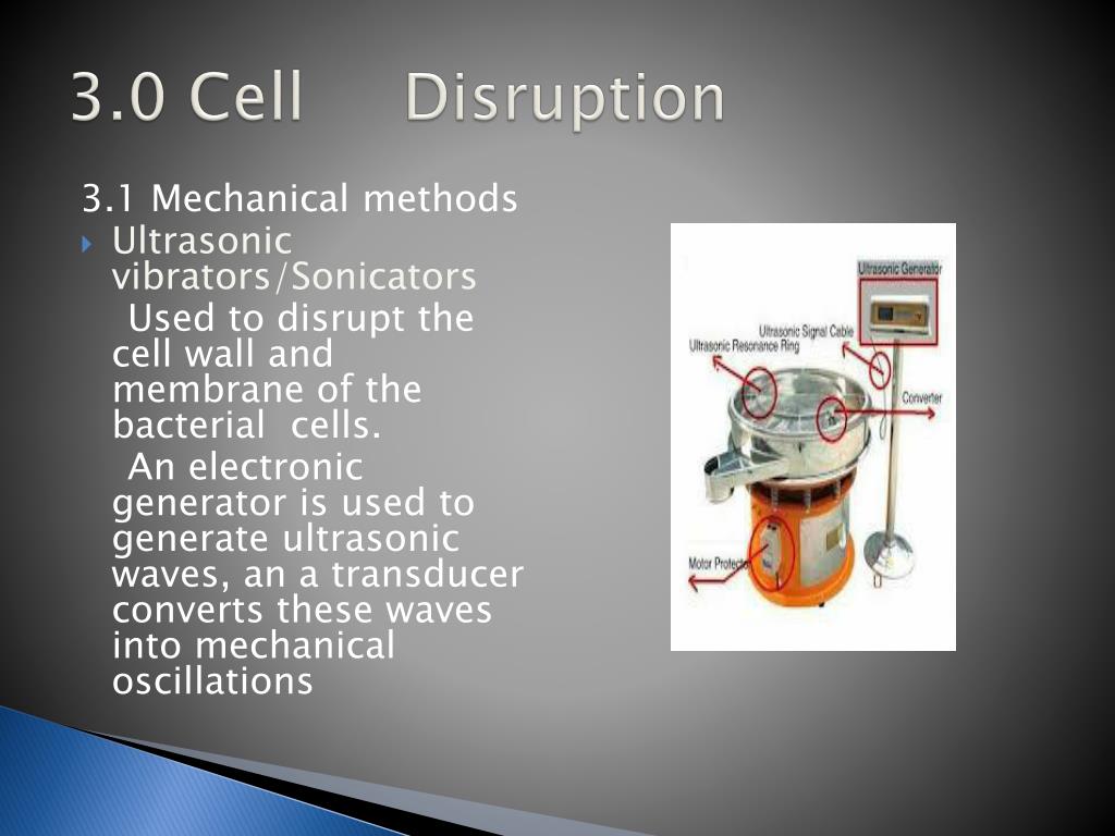 Cell Disruption Methods Ppt PPT - PTT203 BIOCHEMICAL ENGINEERING RECOVERY AND PURIFICATION OF ...