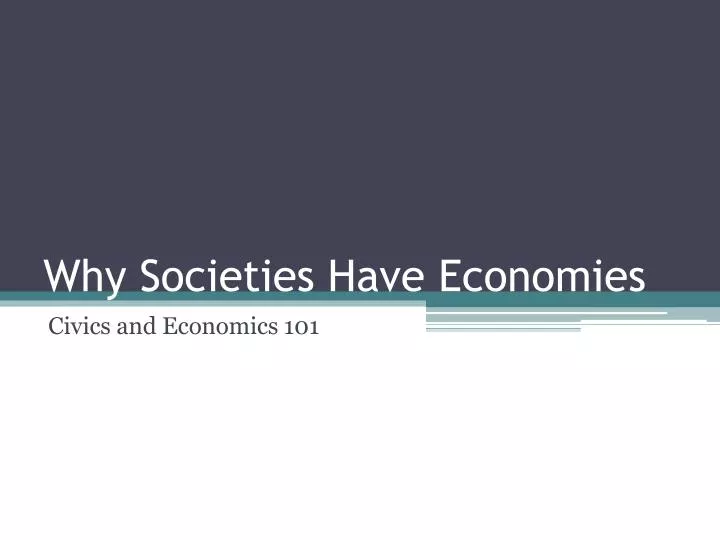 why societies have economies n.